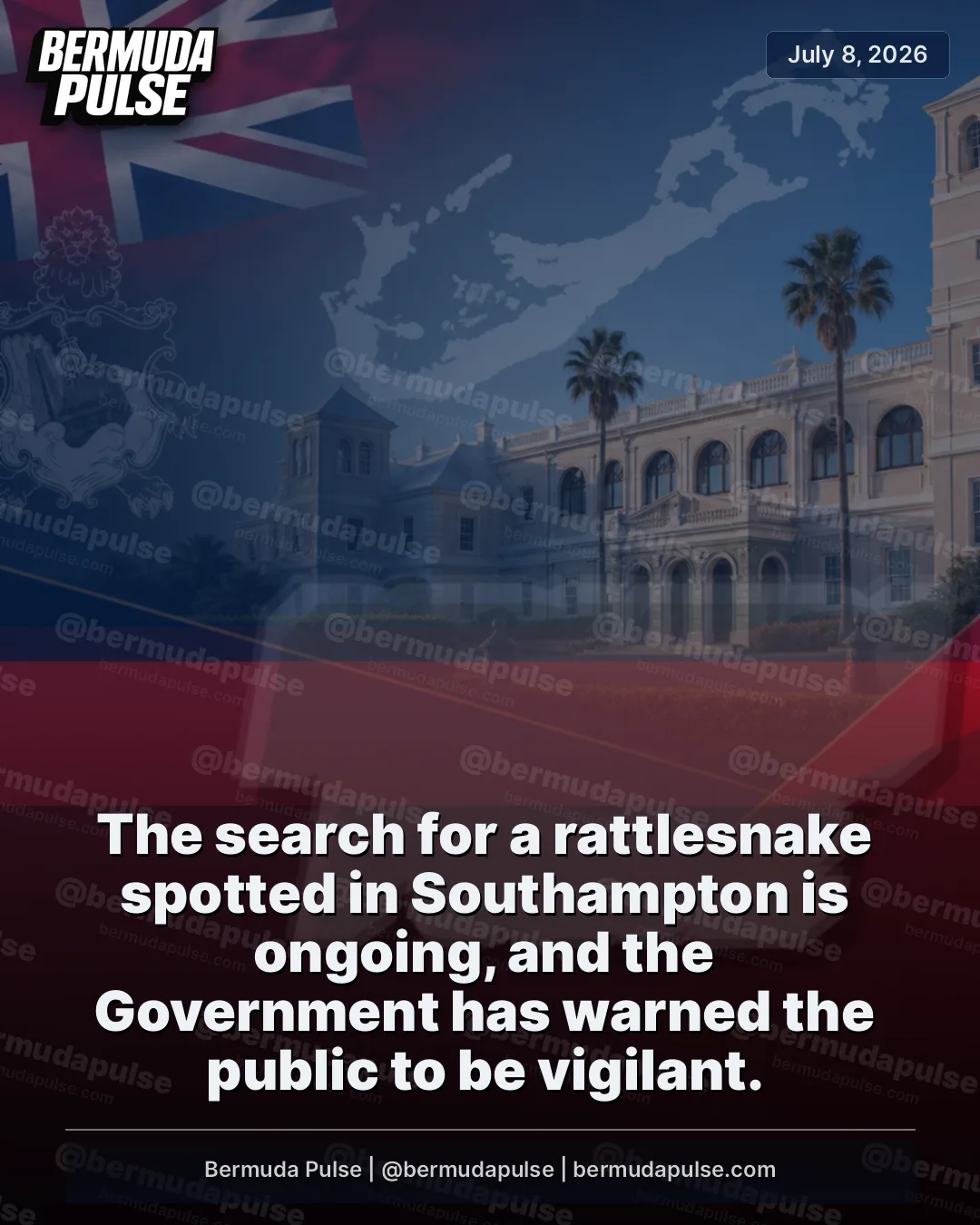 The search for a rattlesnake spotted in Southampton is ongoing, and the Government has warned the public to be vigilant. Officials said fake images and videos circulating on social media are adding confusion around the case.