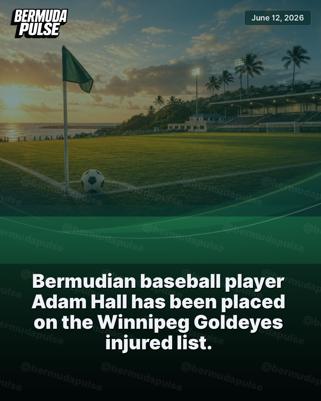 Bermudian baseball player Adam Hall has been placed on the Winnipeg Goldeyes injured list.