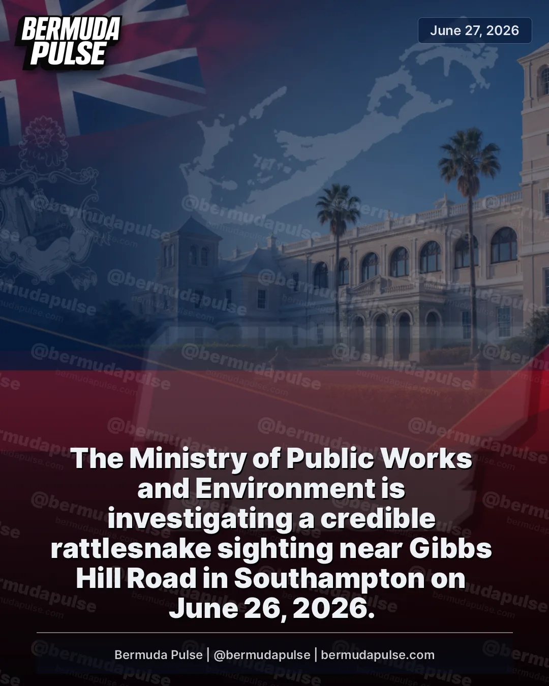 BREAKING: The Ministry of Public Works and Environment is investigating a credible rattlesnake sighting near Gibbs Hill Road in Southampton on June 26, 2026.