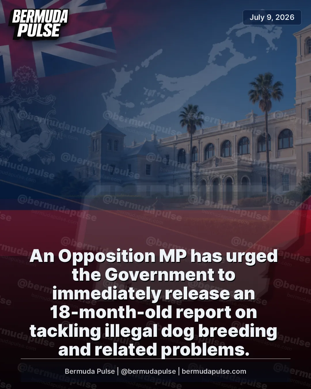 An Opposition MP has urged the Government to immediately release an 18-month-old report on tackling illegal dog breeding and related problems. Linda Smith, the shadow environment minister, said the long-awaited document should be made public without delay.