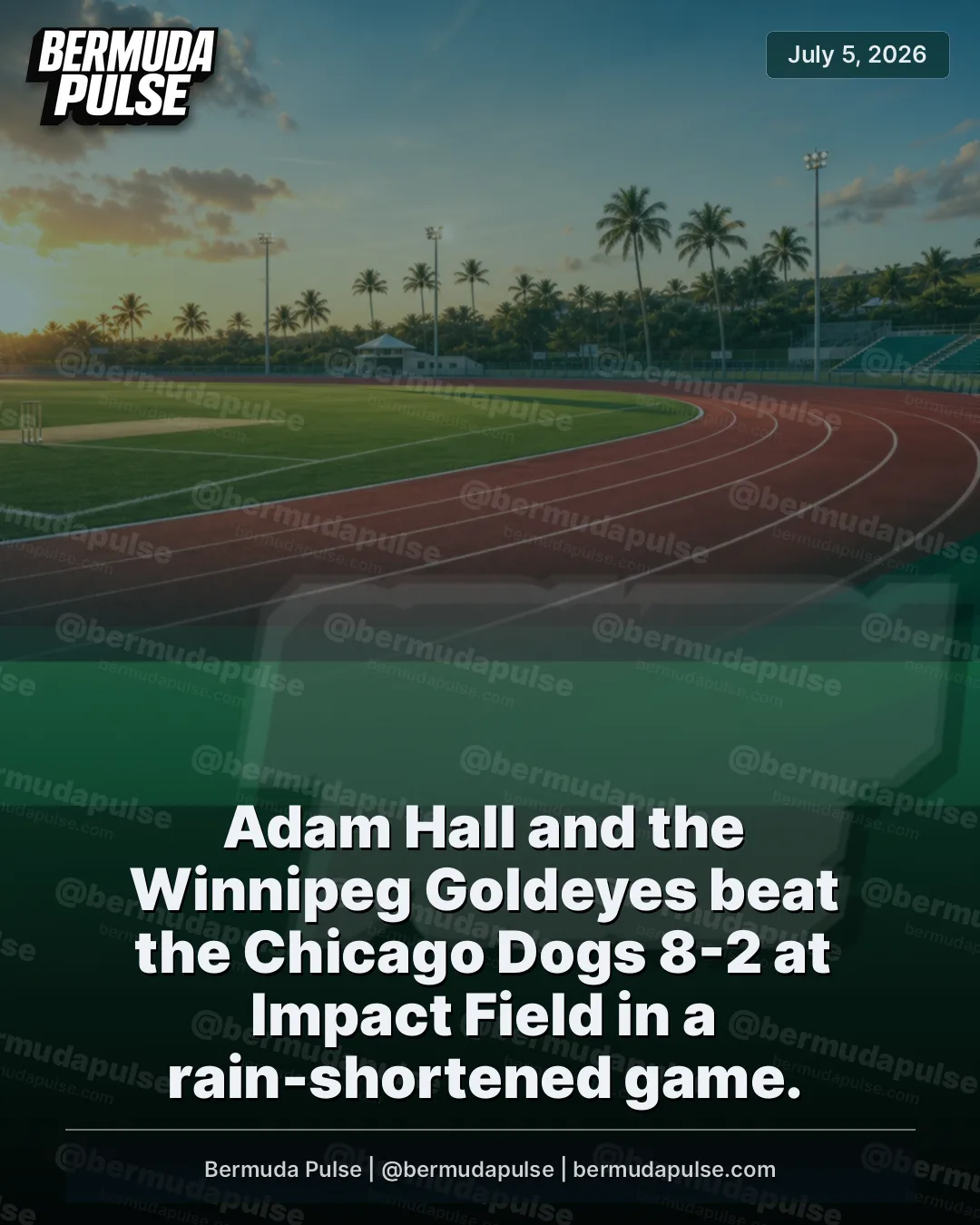 Adam Hall and the Winnipeg Goldeyes beat the Chicago Dogs 8-2 at Impact Field in a rain-shortened game. The contest was called after a 30-minute weather delay as conditions worsened and Chicago were set to bat in the bottom of the seventh inning.