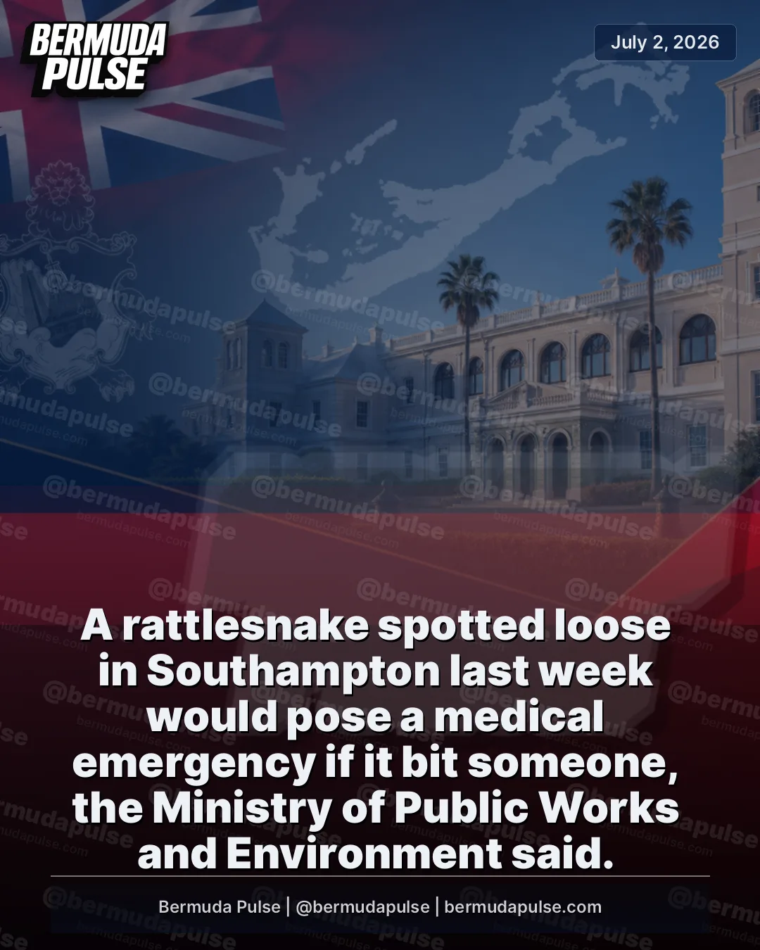 A rattlesnake spotted loose in Southampton last week would pose a medical emergency if it bit someone, the Ministry of Public Works and Environment said. The ministry said anyone bitten would need immediate treatment.