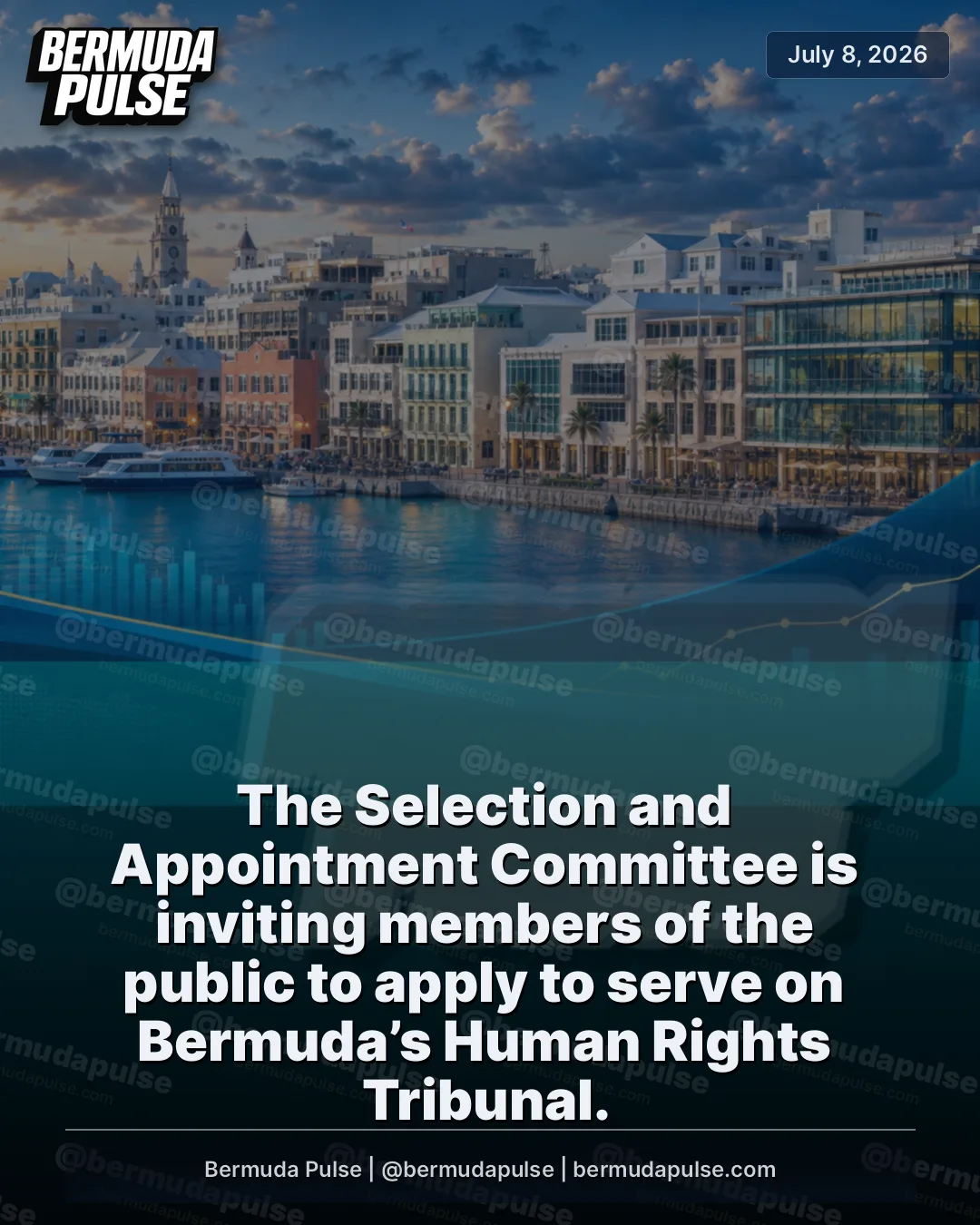 The Selection and Appointment Committee is inviting members of the public to apply to serve on Bermuda’s Human Rights Tribunal.