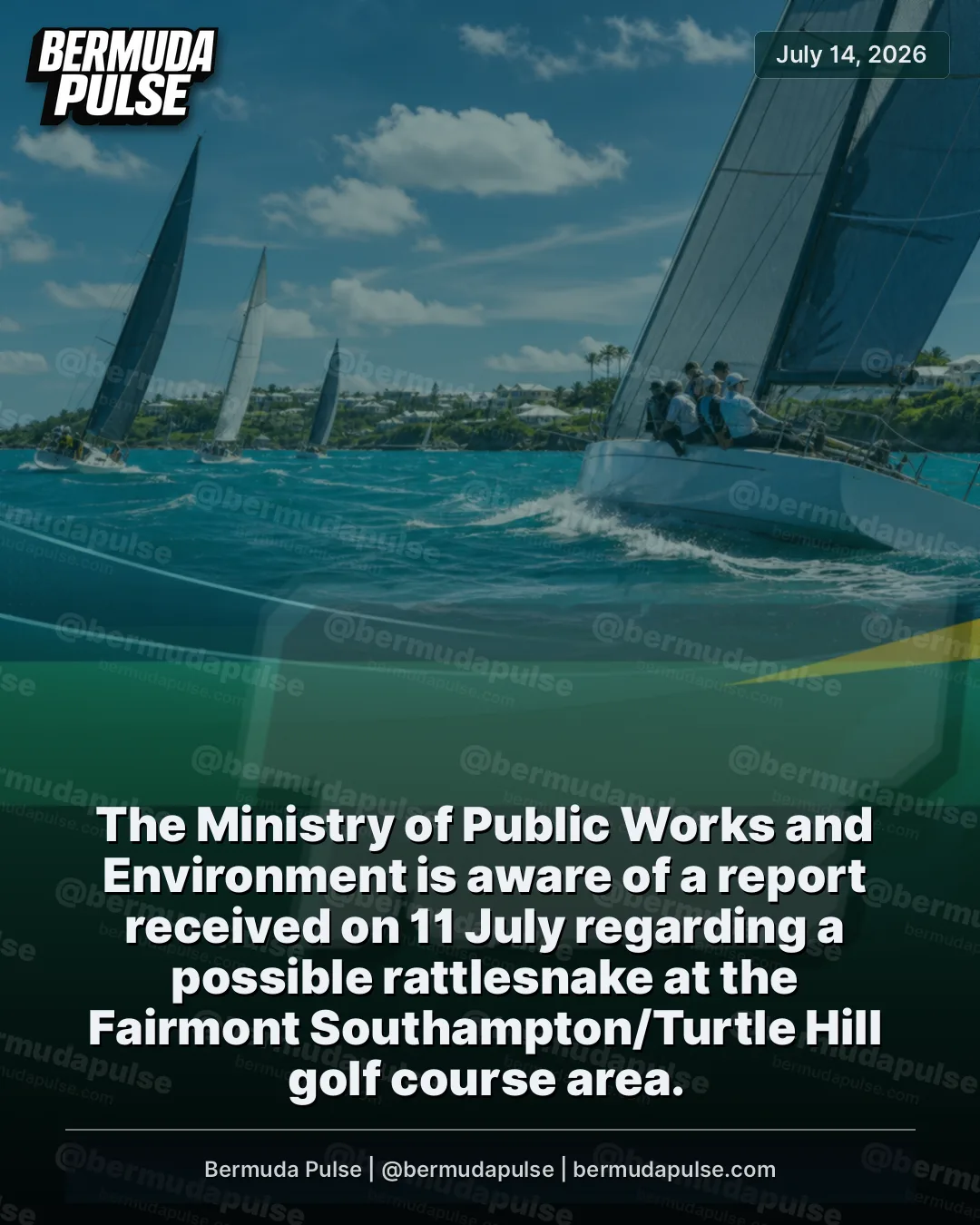 The Ministry of Public Works and Environment is aware of a report received on 11 July regarding a possible rattlesnake at the Fairmont Southampton/Turtle Hill golf course area. Department of Environment and Natural Resources officers responded to the location and conducted a search.